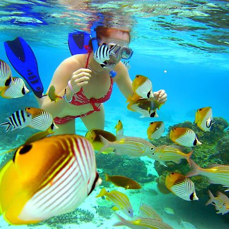 Sanctuary Rarotonga On The Beach (Adults Only) Екстер'єр фото