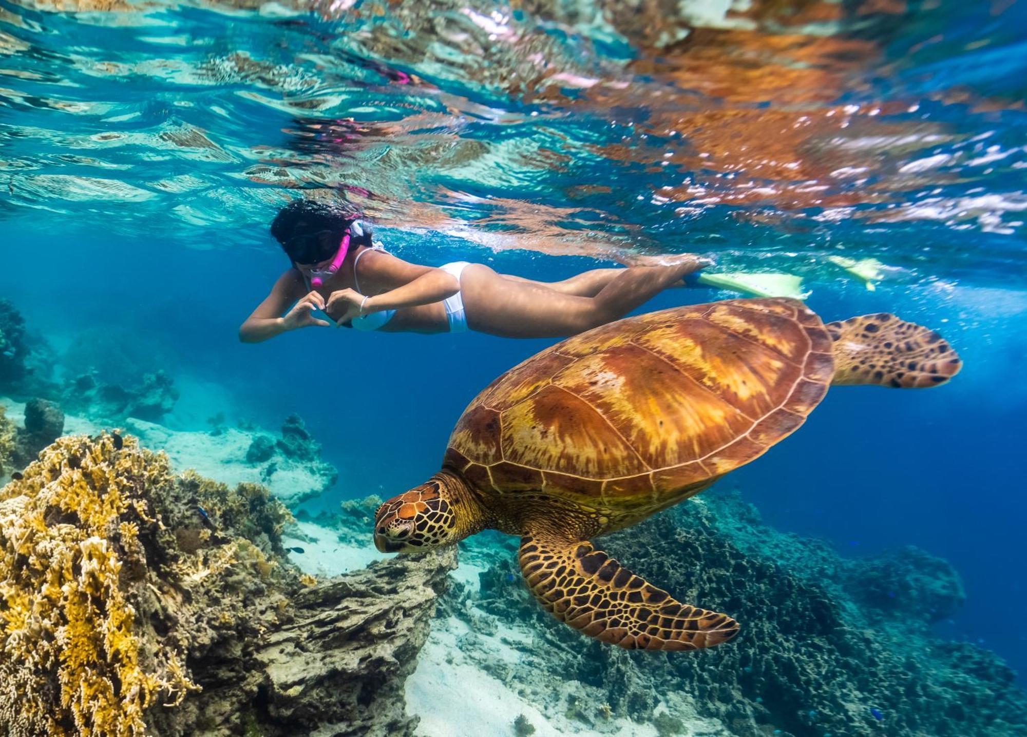 Sanctuary Rarotonga On The Beach (Adults Only) Екстер'єр фото