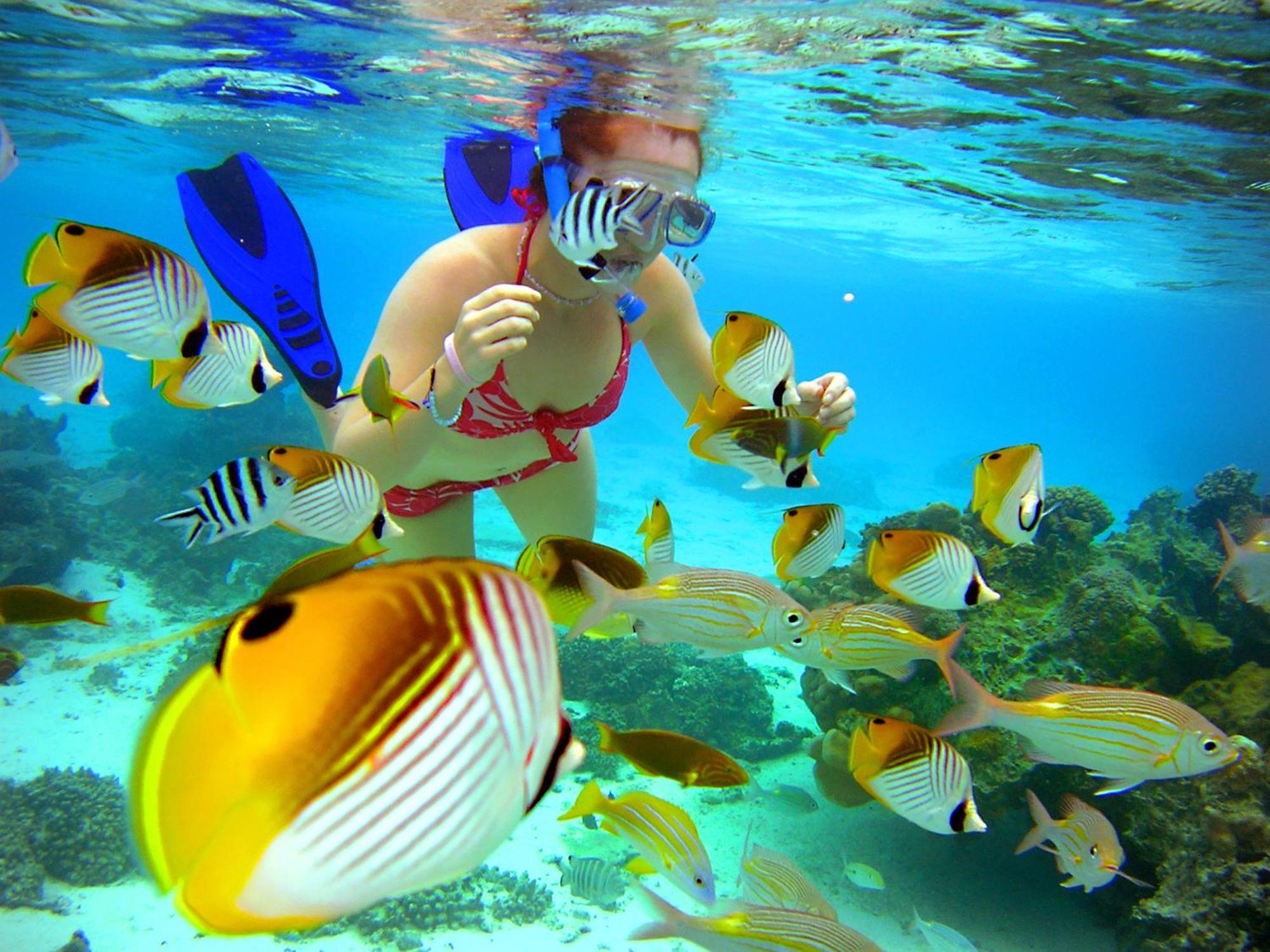 Sanctuary Rarotonga On The Beach (Adults Only) Екстер'єр фото